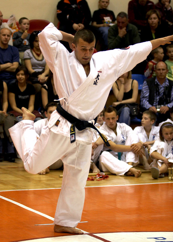 oyama karate kata 3